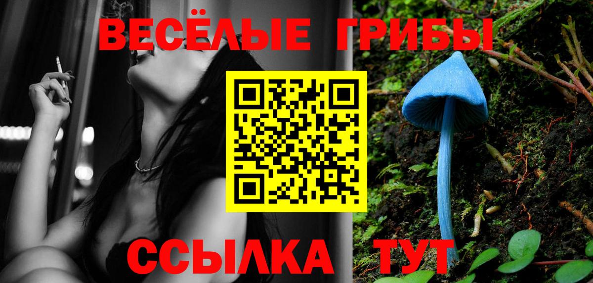 Галлюциногенные грибы Psilocybe  Псилоцибиновые грибы Psilocybe  Вход с VPN  Волгодонск 